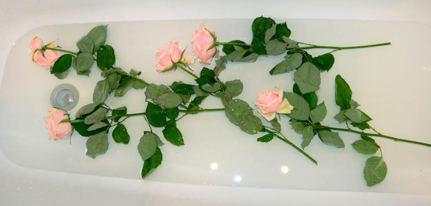 Простые способы сохранить красоту роз в вазе на долгое время