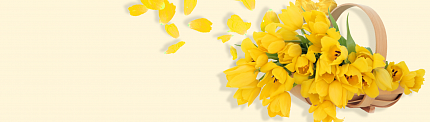 Желтые букеты цветов