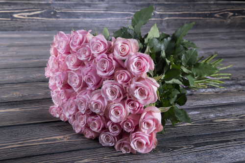 Нежная бело-розовая роза фото 2