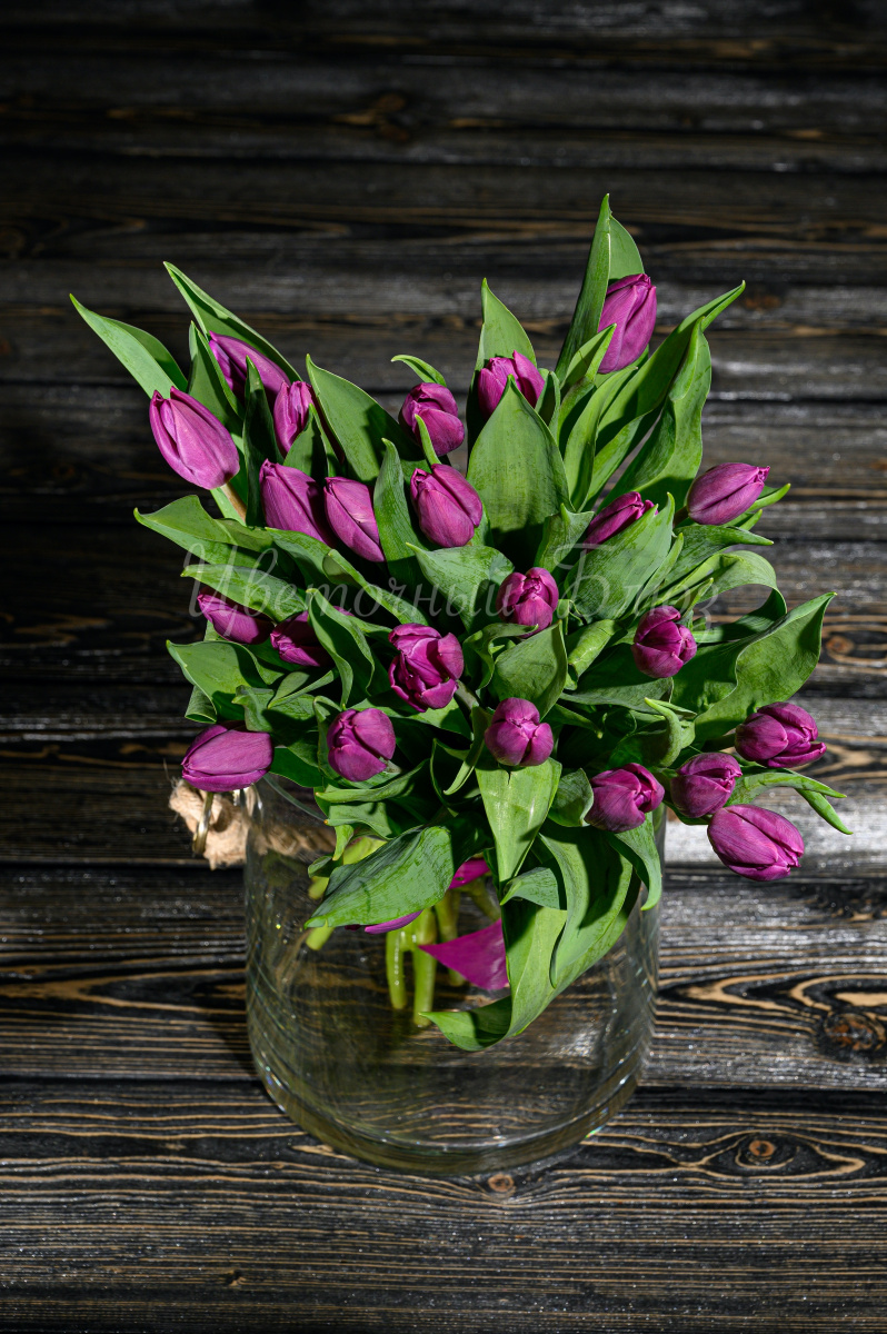 Тюльпаны фиолетовые фото 2