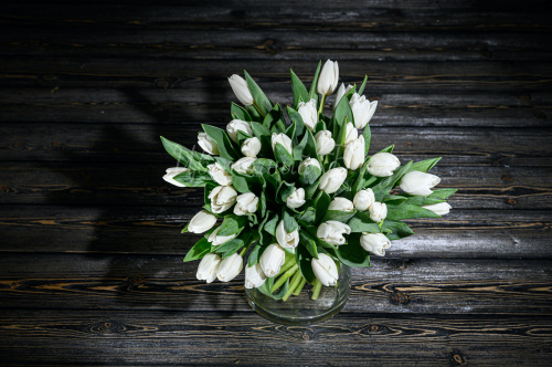 Тюльпаны белые фото 2