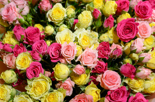 Букет из 29 ярких кустовых роз фото 3