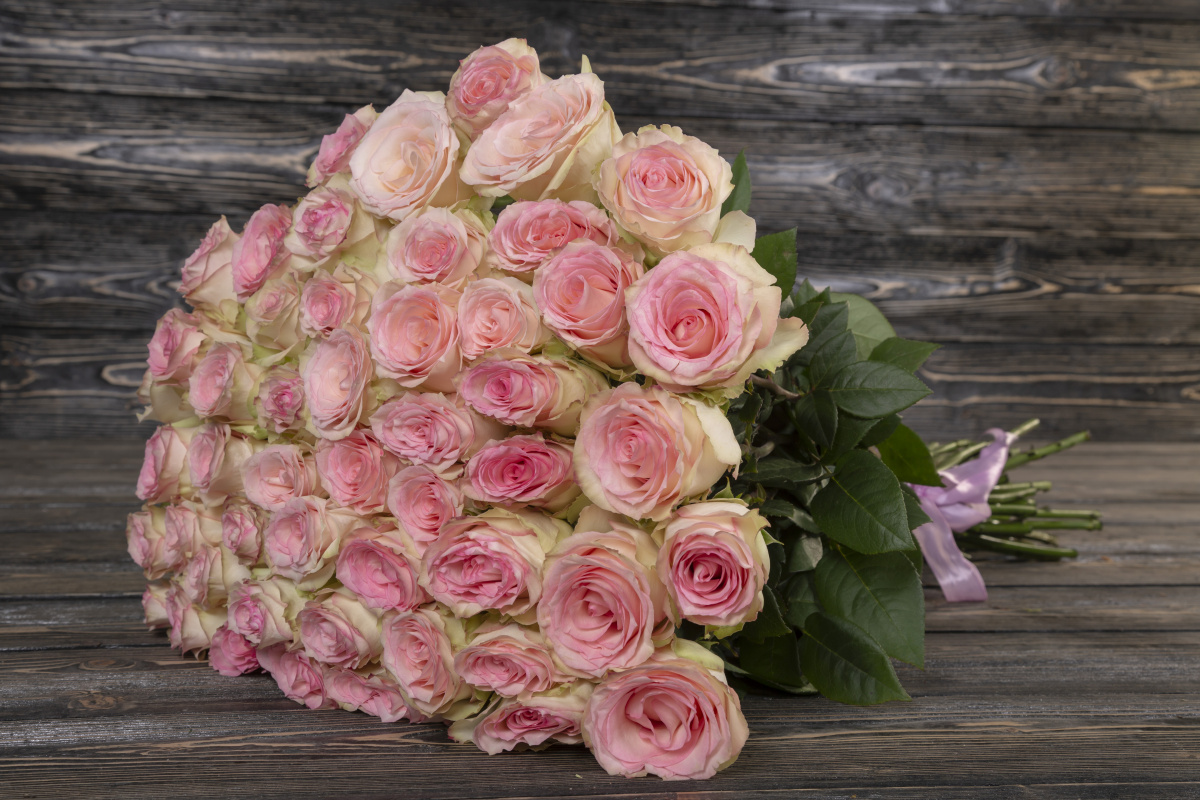 Кремово-розовая роза фото 2