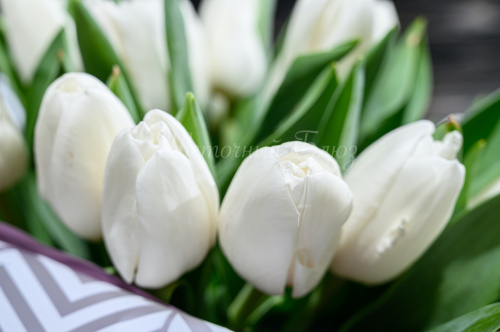 Букет с белыми тюльпанами M фото 2