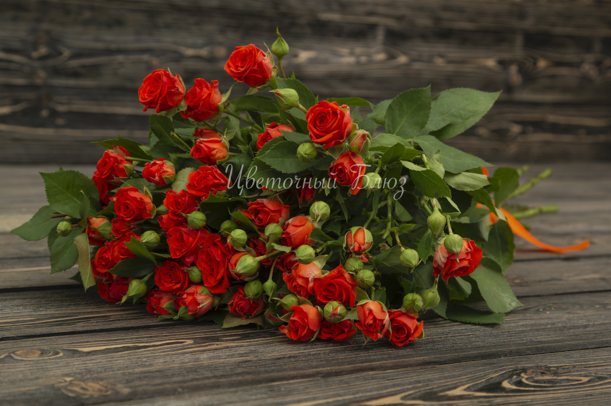 Роза кустовая ярко-оранжевая фото 2
