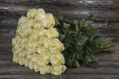Белая роза с зеленым отливом фото 2