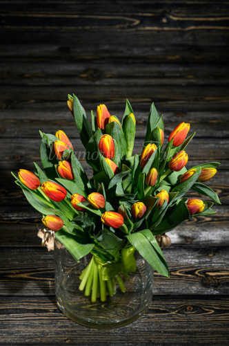 Тюльпаны красно-желтые фото 2