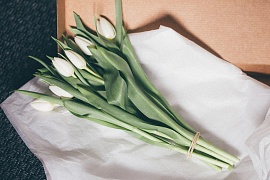 ����-������ � ����� 2026: ��������, ������������ � ����������������