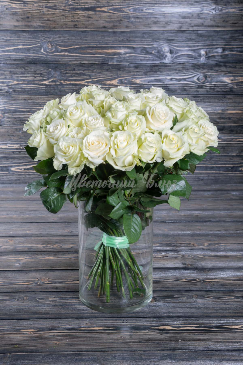 Белая роза с зеленым отливом