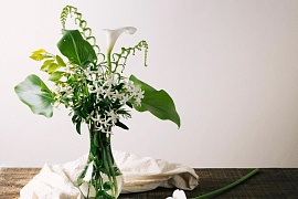 5 ��������� ���, ������� ������������� ������ �������� � ������