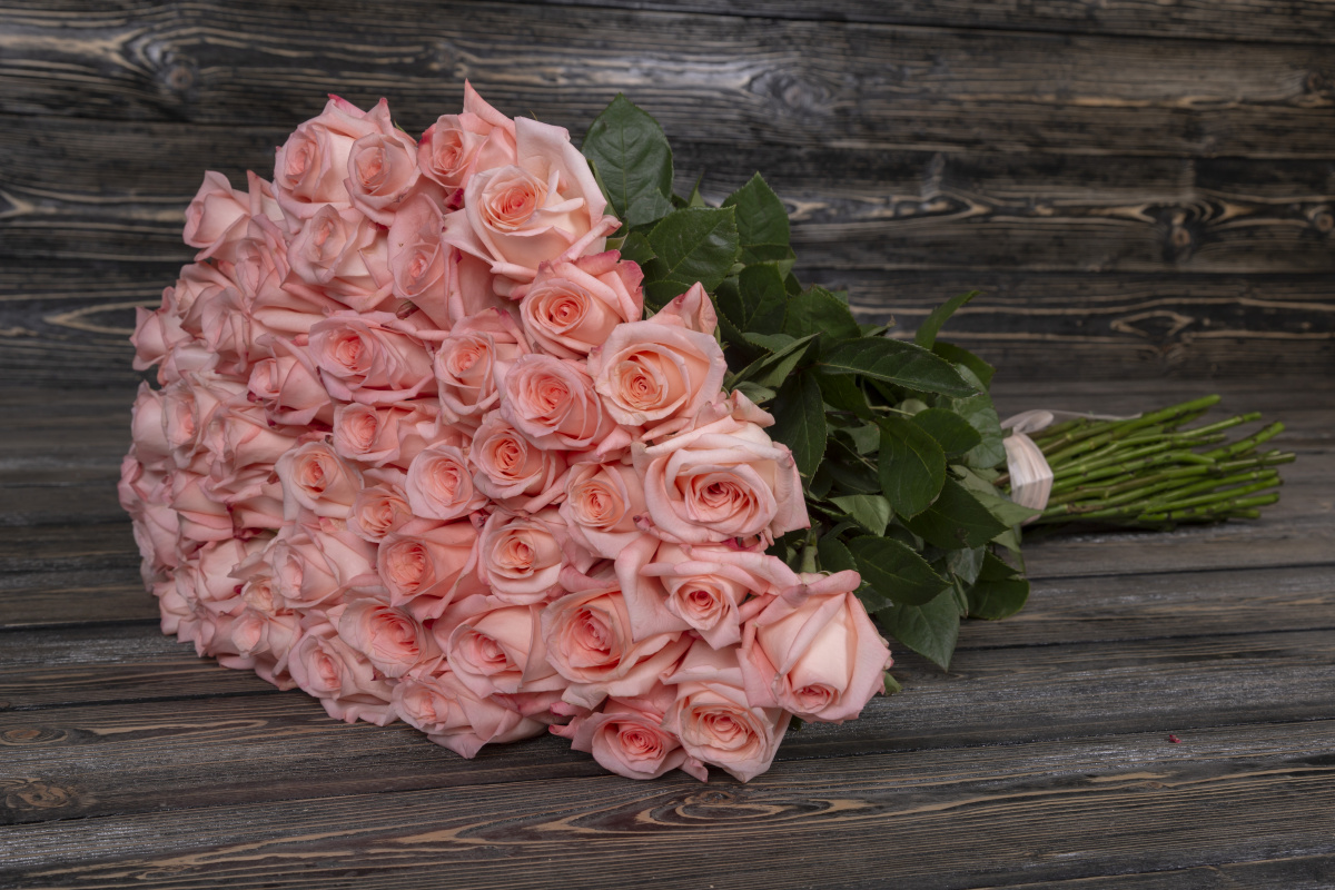 Светло-розовая роза фото 2