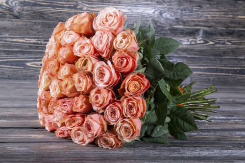 Персиковая садовая роза фото 2