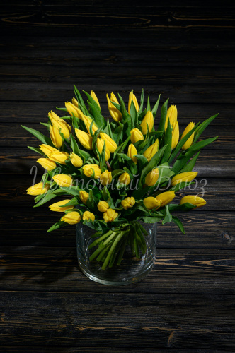 Тюльпаны желтые фото 2