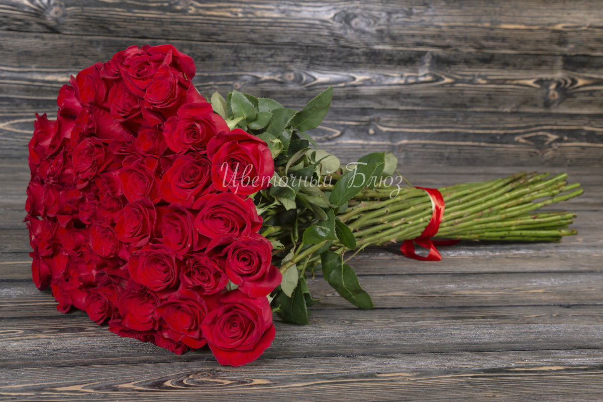 Красная роза фото 2