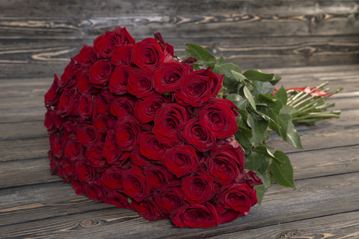 Темно-красная роза 70 см. 329 руб.